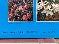 EXPO'75 海洋博　沖縄一周