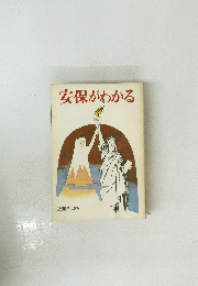 安保がわかる