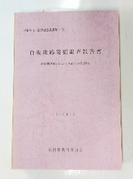 白坂遺跡発掘調査報告書 1994年3月号