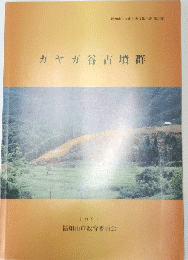 カヤガ谷古墳群　1994年号