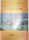 カヤガ谷古墳群　1994年号