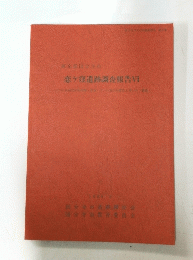 恋ケ窪遺跡調査報告VI