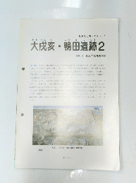  大戌亥・鴨田遺跡　2　1994年3月号　
