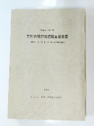 美和古墳群発掘調査報告書
