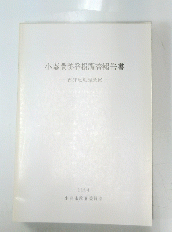 小湊遺跡発掘調査報告書