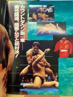 1994 WRESTLING DONTAKU in 福岡ドーム