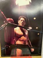 アントニオ猪木30周年　メモリアル・フェスティバル IN横浜アリーナ