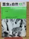 昆虫と自然　1983年12月号　Vol.18 No.13
