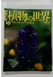 植物の世界 16