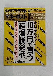 週刊ポスト 増刊　マネーポスト 7/1号
