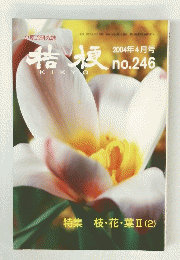 桔梗　2004年4月号 no.246