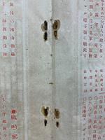 日露戦争写真画報　第6巻