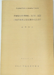 茨城県教育財団文化財調査報告第88集 茨城県自然博物館 (仮称) 建設 用地内埋蔵文化財調査報告書 II　