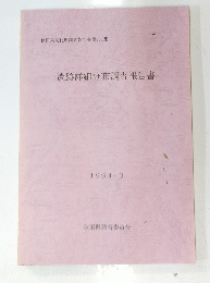 遺跡詳細分布調査報告書　1994年3月号