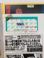 G1 CLIMAX クライマックス特別号