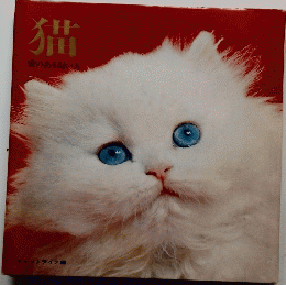 猫　愛のある飼い・方