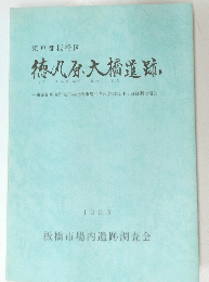 徳丸原大橋遺跡　1993