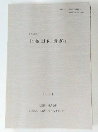 上布田向遺跡 I