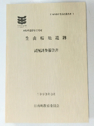 生山桜原遺跡　1993年3月号