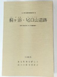 桐ヶ浴・尾口山遺跡　1993