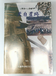 三重県一志郡嬉野町　天白遺跡　1993年11月号