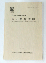 鳥取県日野郡日南町 　生山桜原遺跡