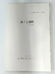 森ノ上遺跡　1993