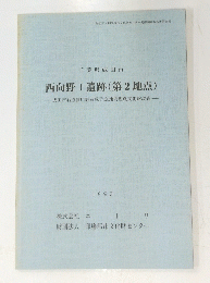 西向野Ⅰ遺跡(第2地点)　1993