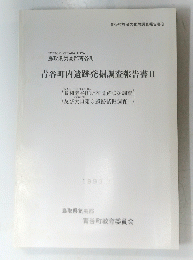 青谷町内遺跡発掘調査報告書II