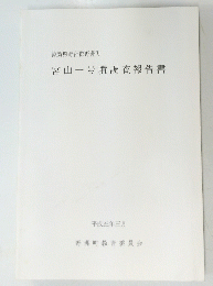 宮山一号墳調査報告書