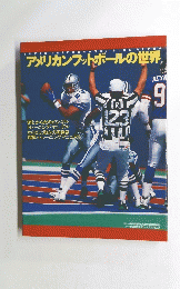 アメリカンフットボールの世界