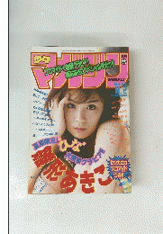 
週刊少年マガジン 1995年8/2号 NO.33