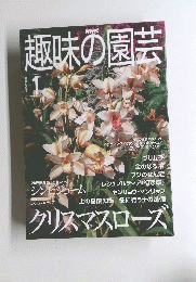 NHK趣味の園芸　２００１年１月号