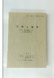 下巾上遺跡　1995