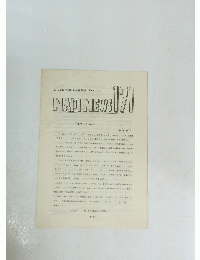 NAPINEWS 171　1981年2月号