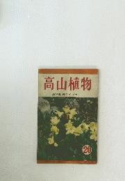 高山植物　20