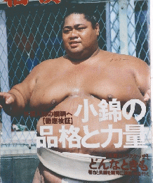 相模　1992年5月号