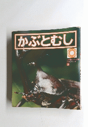 かぶとむし　3