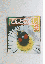 てんとうむし　6