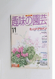 NHK趣味の園芸　1995年11月号