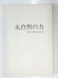 大自然の力