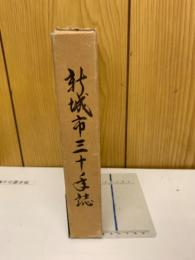 新城市三十年誌