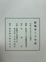 新城市三十年誌
