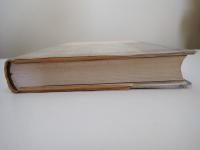 明治・名古屋の顔 : 写真図説