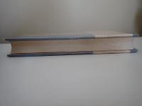 明治・名古屋の顔 : 写真図説