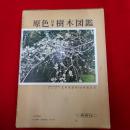 原色日本樹木図鑑