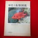 原色日本魚類図鑑