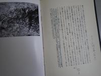 ラスコーの壁画