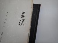見立ての手法 : 日本的空間の読解