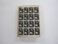 ドキュメント現代史13　アラブの解放